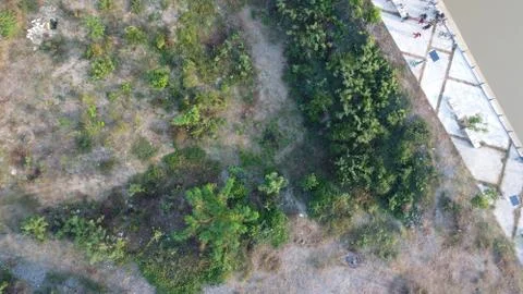 Top view of the park by the river Stock Photos