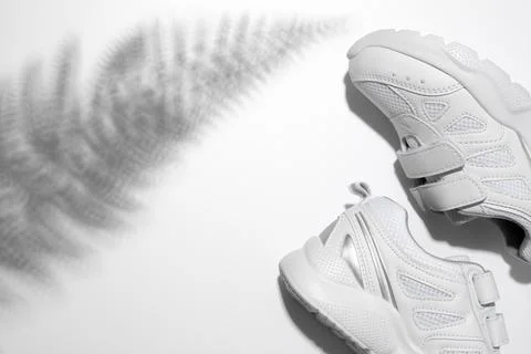 Top view partially two white sneakers on the side with hard summer sunny fern Stock Photos