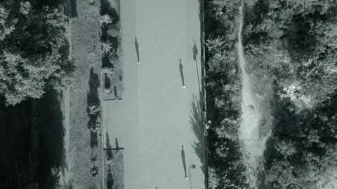 Top view of passers-by walking in the park black white video Stock Footage 130794734