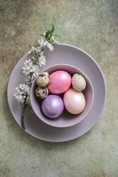 Top view of pastel colored Easter eggs on a plate with a blossoming branch... Stock Photos