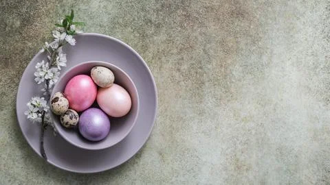 Top view of pastel Easter eggs in plate and flowering branch on concrete ba.. Foto stock