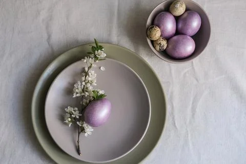 Top view of pastel purple Easter eggs on plate with blossom branch. Easter .. Stock Photos