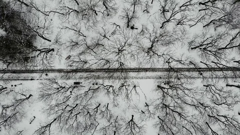 Top view of path in Park with trees in winter, with people walking along it Stock Footage 123692878