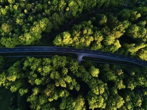 Top view of the path through the trees. View from balloon. Road view from above Stock Photos
