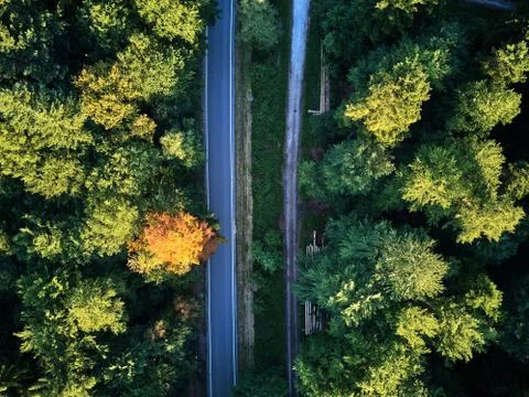 Top view of the path through the trees. View from balloon. Road view from above Stock Photos