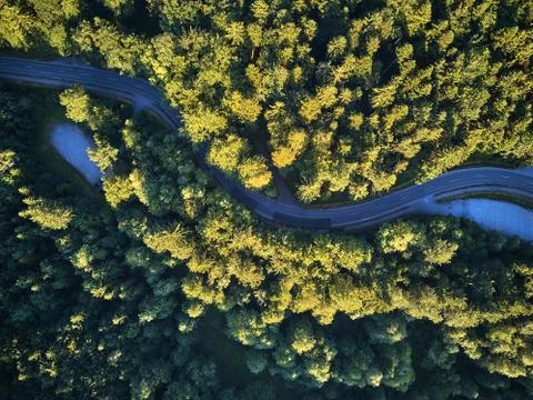 Top view of the path through the trees. View from balloon. Road view from above Stock Photos