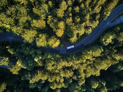 Top view of the path through the trees. View from balloon. Road view from above Stock Photos