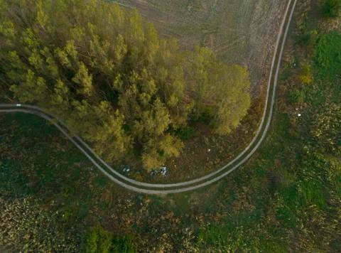 Top view of the path through the trees. View from drone Stock Photos