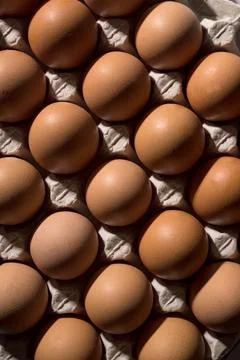 Top view pattern of eggs in a carton tray. Abstract food background. 스톡 사진