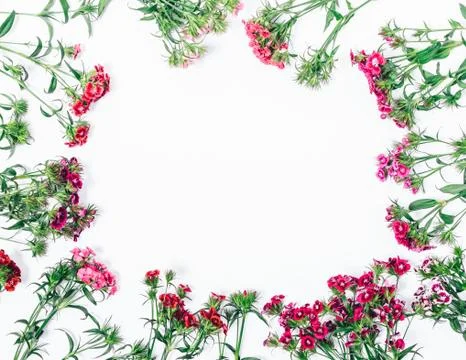 Top view pattern of pink flowers with empty center Stock Photos
