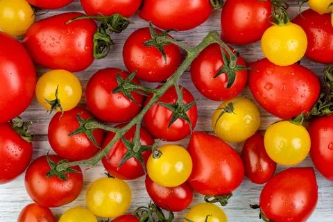 Top view of pattern of yellow and red tomatoes on wooden background 写真素材