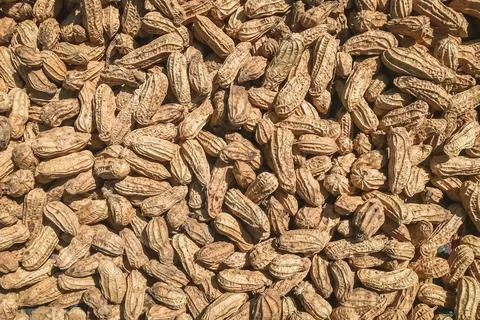 Top view of Peanuts (Arachis hypogaea). Food background. Stock Photos