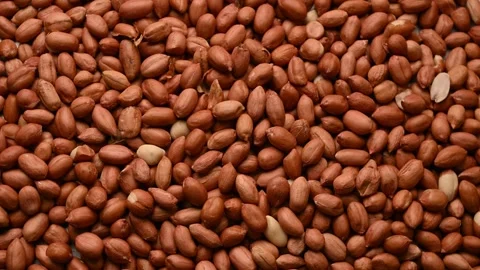 Top View of Peanuts Rotating on Textured Background – Food Footage Stock Footage 329340758