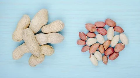 Top view of peanuts in shell and without shell on blue background Stock Photos