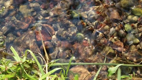 Top view of pebbles in a fast stream Stock-Footage 160760572
