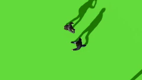 Top View People Walking Activity Green Screen Stock Footage 323907366