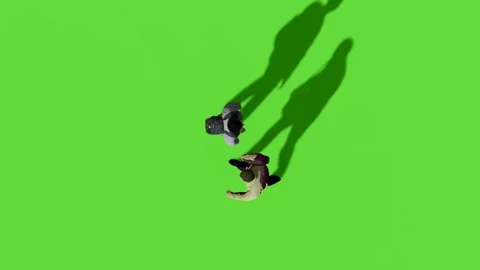 Top View People Walking Activity Green Screen Stock Footage 323907380