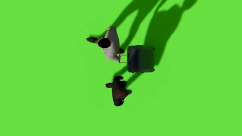 Top View People Walking Activity Green Screen Stock Footage 323907430