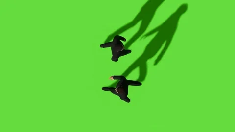 Top View People Walking Activity Green Screen Video stock 323907436