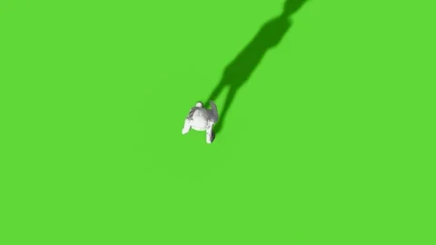 Top View People Walking Activity Green Screen Stock Footage 323907442