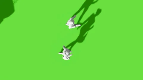 Top View People Walking Activity Green Screen Stock Footage 323907470