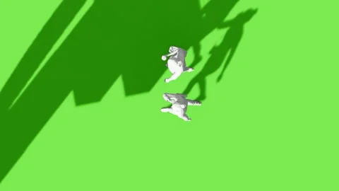 Top View People Walking Activity Green Screen Stock Footage 323907471