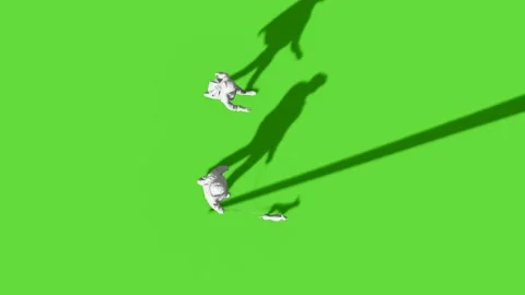 Top View People Walking Activity Green Screen Stock Footage 323907477