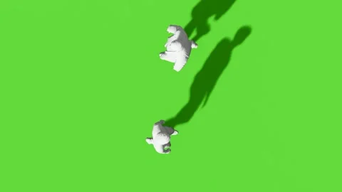 Top View People Walking Activity Green Screen Stock Footage 323907485