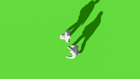 Top View People Walking Activity Green Screen Stock Footage 323907487