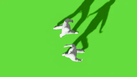 Top View People Walking Activity Green Screen Stock Footage 323907507