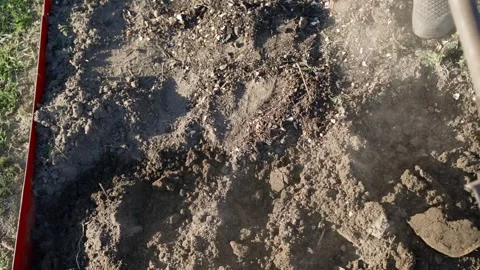 Top view of person digging and loosening soil of garden bed with shovel. Slow Stock Footage 341747609