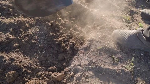Top view of person digging and loosening soil of garden bed with shovel. Slow Stock Footage 341747644