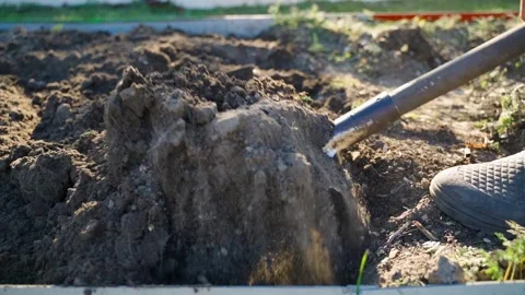 Top view of person digging and loosening soil of garden bed with shovel. Slow Stock Footage 341747645