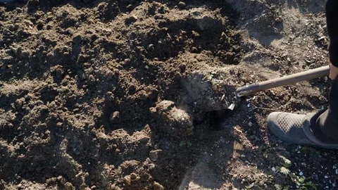 Top view of person digging and loosening soil of garden bed with shovel. Slow Stock Footage 341747650