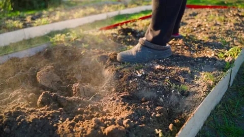 Top view of person digging and loosening soil of garden bed with shovel. Slow Stock Footage 341747707