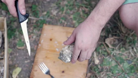 Top view of person's hand holding simple cooking knife and opening oyster shell Stock Footage 159658467