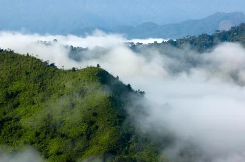 Top view. Stock Photos