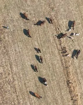 Top view Stock Photos