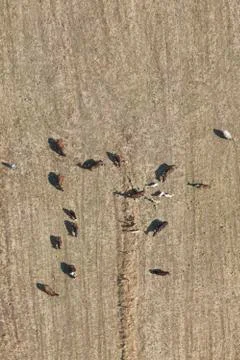 Top view Stock Photos