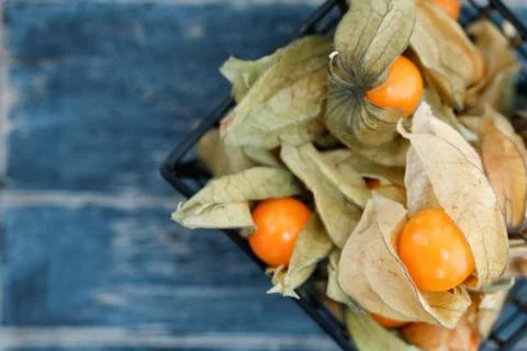 Top view on Physalis fruit in a black basket Stock Photos