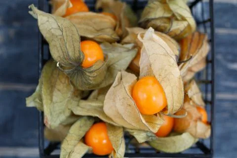 Top view on Physalis fruit in a black basket Stock Photos