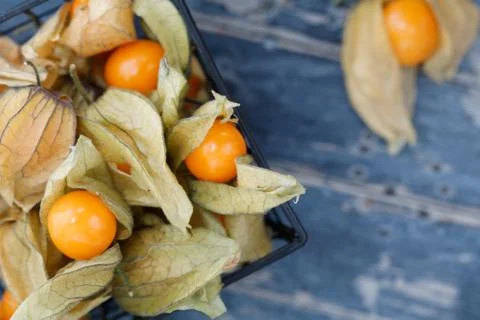 Top view on the physalis fruit in a black basket Stock Photos