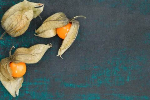 Top view on Physalis fruit on a old green rustic board. Copy space Stock-Fotos
