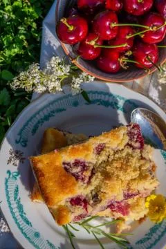 Top view on piece of cherry cake and bowl full of red fruit Stock Photos