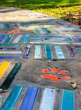 Top view on pieces of multicolored ceramic tiles decorated in garden. Old pav Stock Photos