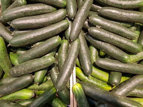 Top view of pile of cucumber Stock Photos