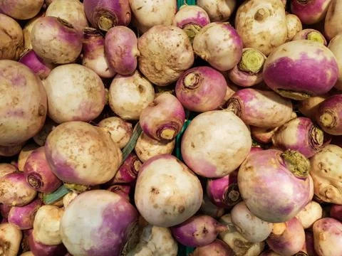Top view of pile of turnips Stock Photos