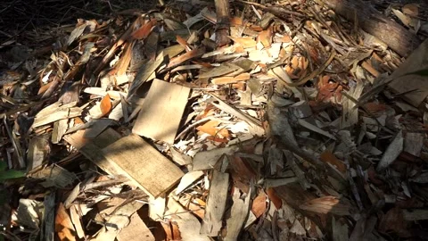 Top view of a pile of wood chips and leftover board cutoffs in a timber Stock Footage 344093729