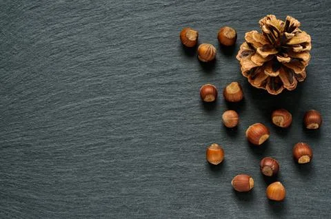 Top view of pine cone and hazel nuts on black slate stone background with cop Stock Photos