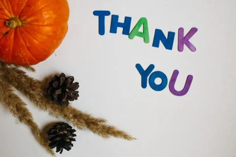 Top view pine cones, pumpkin and Thank you inscription. Fall background for t Stock Photos